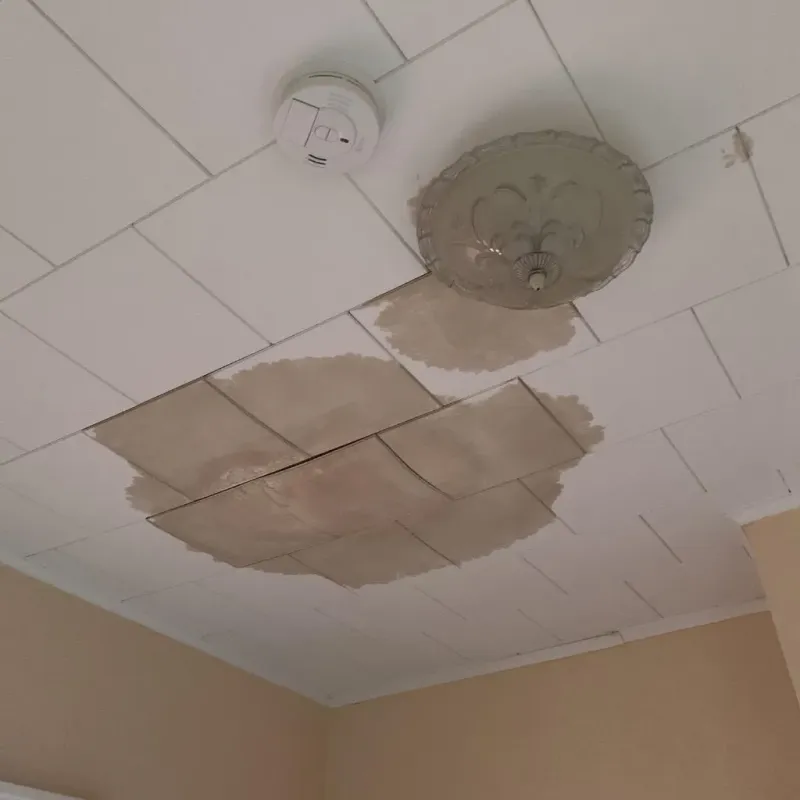 Ceiling Water Damage Repair in Peach Springs, AZ